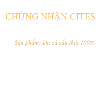 Phân biệt sản phẩm Hoa Cà thật & giả
