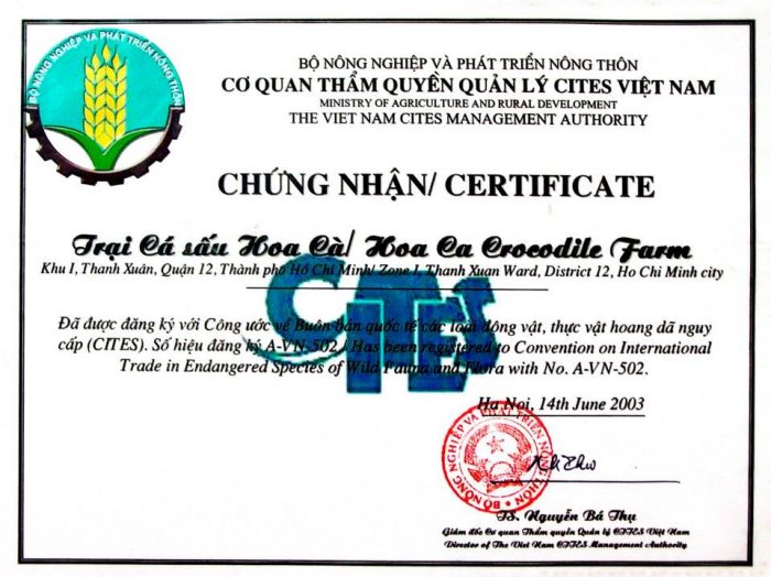 Cites cá sấu hoa cà