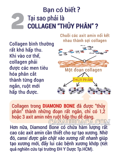 Collagen thủy ngân