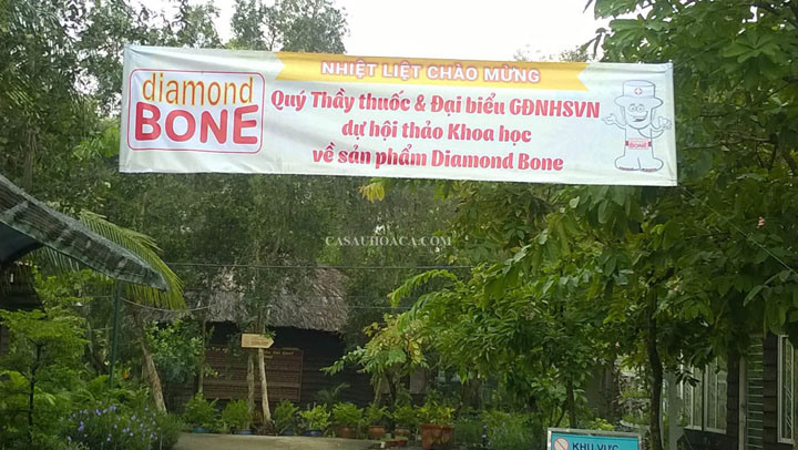 Mừng hội thảo khoa học về sản phẩm Diamnond Bone