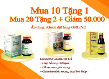 Chương trình Mua 10 Tặng 1 – Mua 20 Tặng 2 + Giảm 50K